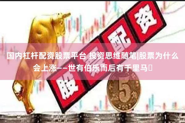 国内杠杆配资股票平台 投资思维随笔|股票为什么会上涨——世有伯乐而后有千里马​