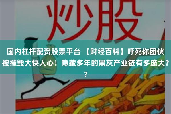 国内杠杆配资股票平台 【财经百科】呼死你团伙被摧毁大快人心！隐藏多年的黑灰产业链有多庞大？