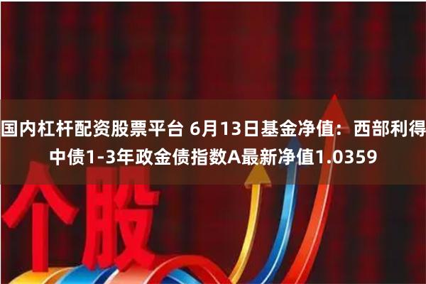 国内杠杆配资股票平台 6月13日基金净值：西部利得中债1-3年政金债指数A最新净值1.0359