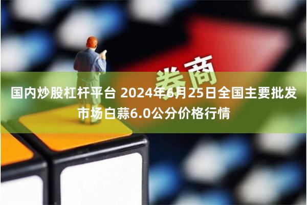 国内炒股杠杆平台 2024年6月25日全国主要批发市场白蒜6.0公分价格行情