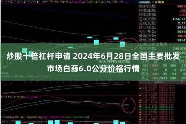 炒股十倍杠杆申请 2024年6月28日全国主要批发市场白蒜6.0公分价格行情