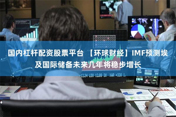 国内杠杆配资股票平台 【环球财经】IMF预测埃及国际储备未来几年将稳步增长